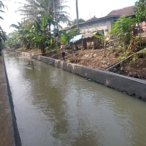 Kementan RI (Ditjen SDA) Rehabilitasi Saluran Irigasi Sekunder dan Tersier Sungai Cilcis, Petani Bahagia