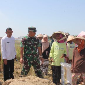 Dandim 0620/Kab Cirebon, Dampingi Danrem 063/SGJ Cek Lokasi Pompanisasi