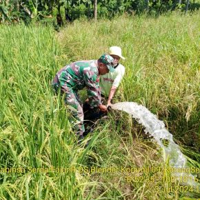Babinsa Blender Lakukan Pendampingan Pertanian