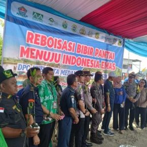 PT.MUSIM MAS SUMBANG 7.000 BIBIT POHON MANGROVE KEGIATAN REBOISASI BERSAMA DPC HNSI MEDAN