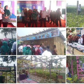 Kegiatan Pembinaan Wilayah Tim Penggerak PKK Desa Lontar Dihadiri Ibu PJ Ketua PKK Kabupaten Tangerang