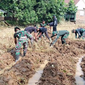 Dukung ketahanan Pangan Satgas TMMD ke-121 Bantu Petani di Sawah