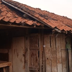 Bantuan Berbentuk Sapi Ke Kelompok Tani Bina Tani Raib ( Berkembang Beak)