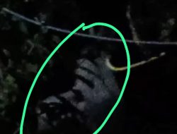 Geger Video “Pocong Bergoyang” di Kampung Pabuaran: Warga Resah dengan Fenomena Gaib yang Kian Marak