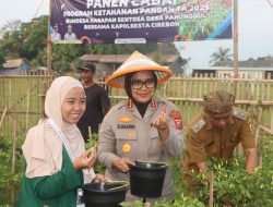 Polresta Cirebon Gelar Panen Raya Cabai, Penanaman Bibit Cabai dan Benih Ikan Lele di Desa Panunggul