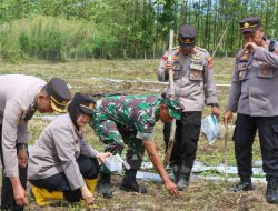 Polresta Cirebon Tanam Jagung Pipil di Desa Sumurkondang, Dukung Swasembada Pangan Nasional 2025