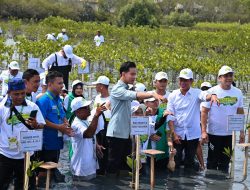 PLN Indonesia Power UBP Banten 3 Lontar Bersama Wakil Presiden RI Dukung Aksi Perlindungan dan Pengelolaan Ekosistem Mangrove Menuju Net Zero Emission 2060