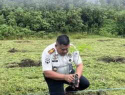 Rutan Sidikalang Tanam 35 Bibit Pepaya California, Perkuat Ketahanan Pangan dan Kemandirian Warga Binaan